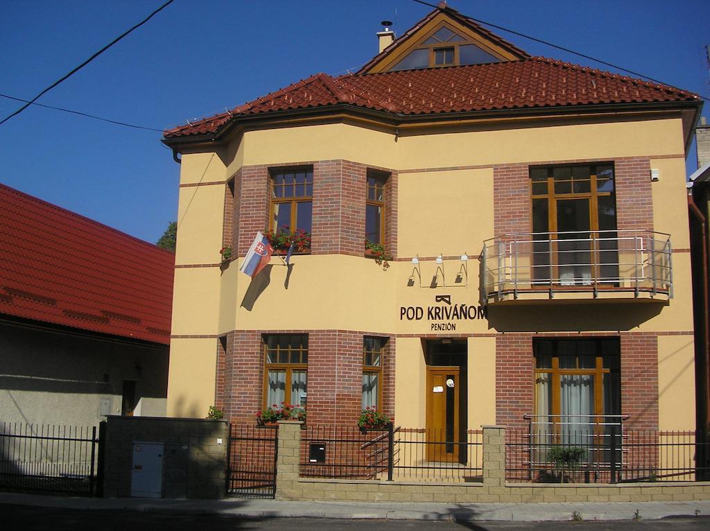Penzion Pod Krivanom Liptovsky Hradok Exterior photo